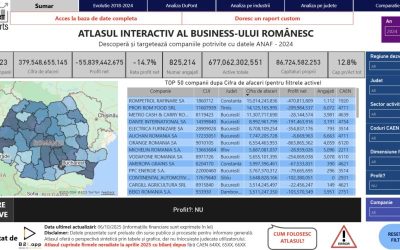Mai mult de una din trei companii din România au fost pe pierdere în 2024